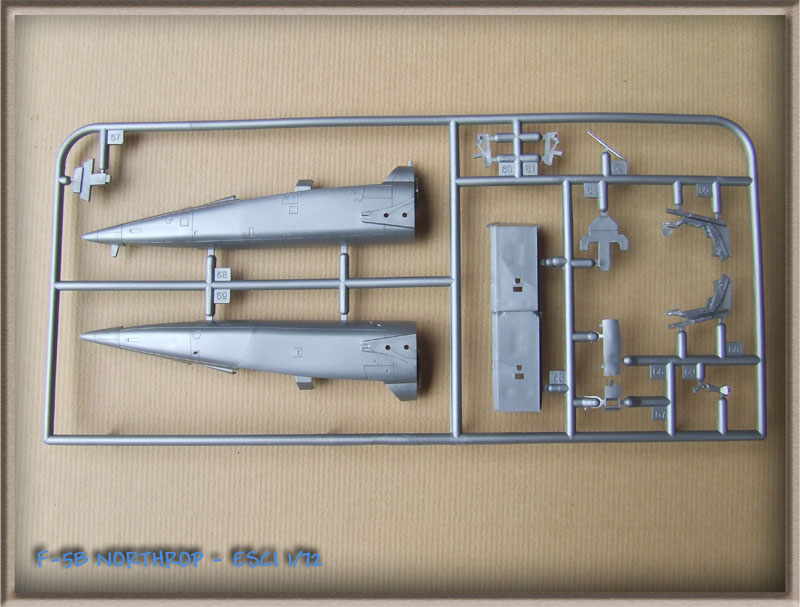 [Esci] Northrop F-5B / CF-116 F-5B002