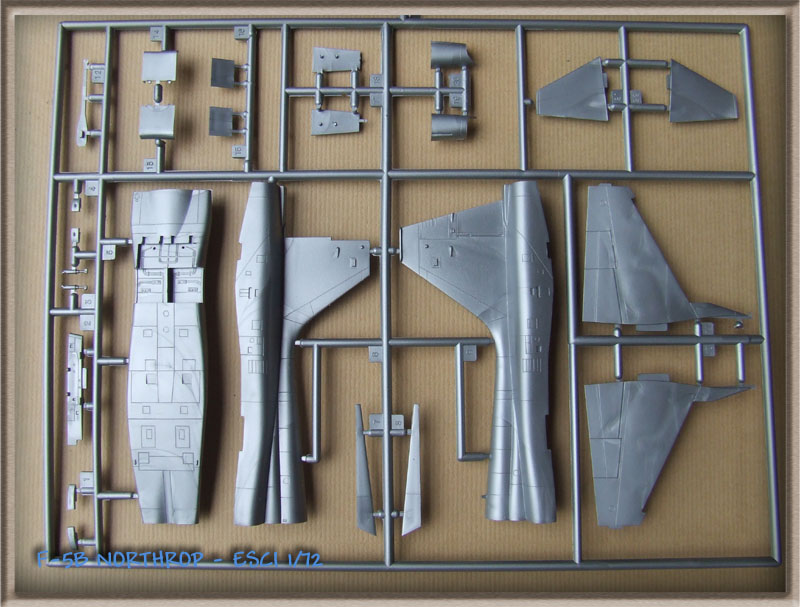 northrop - [Esci] Northrop F-5B / CF-116 F-5B004