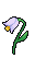 TM063 - [Ficha] Rosemary Lonelyflower