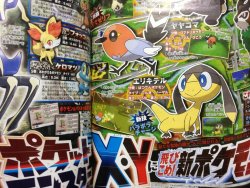 posibles revelaciones Corocoro5134th