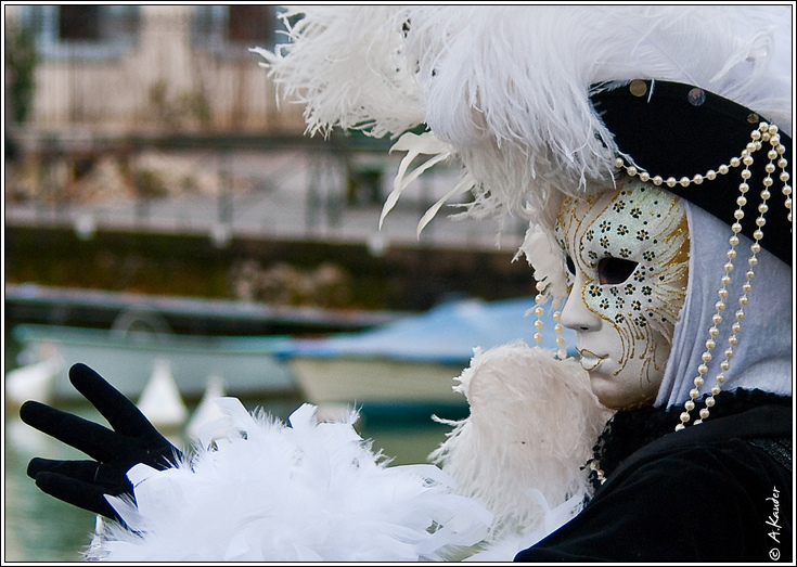 Sortie au Carnaval Vénitien d'Annecy 28/02 - Les Photos - Page 5 CVA26