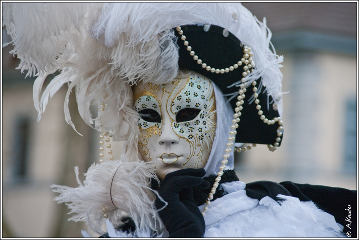 Sortie au Carnaval Vénitien d'Annecy 28/02 - Les Photos - Page 5 CVA27