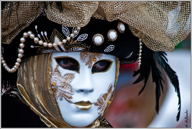 Sortie au Carnaval Vénitien d'Annecy 28/02 - Les Photos - Page 5 CVA5