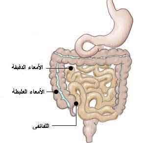 ارقام في جسم الانسان  Crohn1