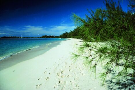 جزر الباهاما 7