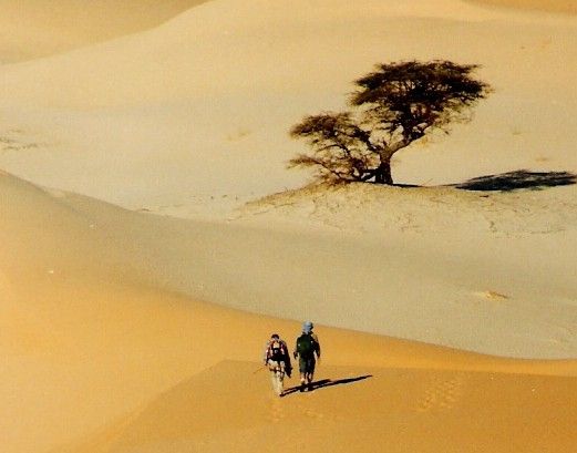 أحاسيس هادئة على هامش الصورة Mauritanie%20randonnee%20trekking%20desert%20Nicollet