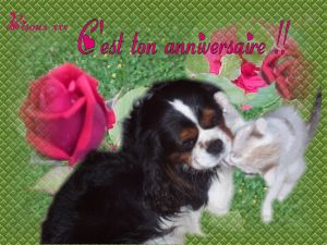 Anniversaire de tia ! Annivers7bis