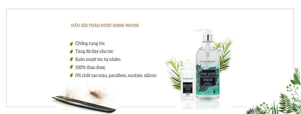 Dầu gội trị rụng tóc Shine Water Shampoo Shine-water-ver-2-1024x389