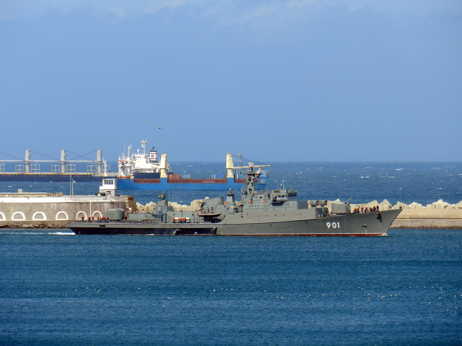 القوات البحرية الجزائرية  2097540