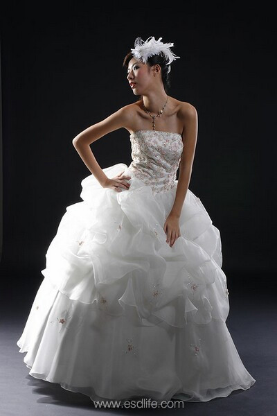 فساتين زفاف يابانية 2010 1367_Ming_Wedding_House_gown_CRW_4789