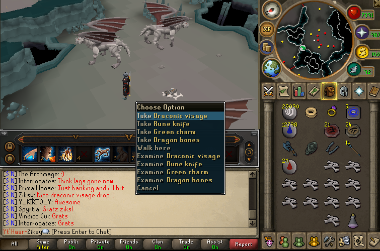 Ziksy's simple Slayer log Draconic-visage-steelies