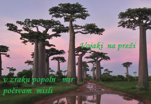 HAIKU - Page 7 Vojakina-prezi2017