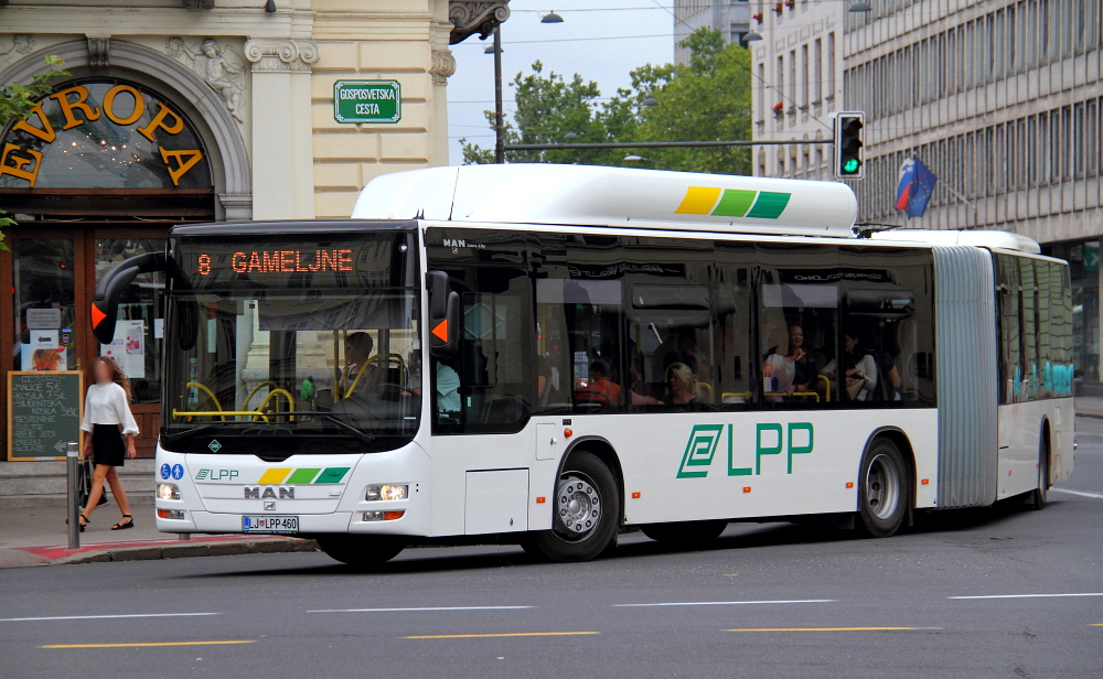 LPP - Ljubljana,slike autobusa - Page 2 Img2612