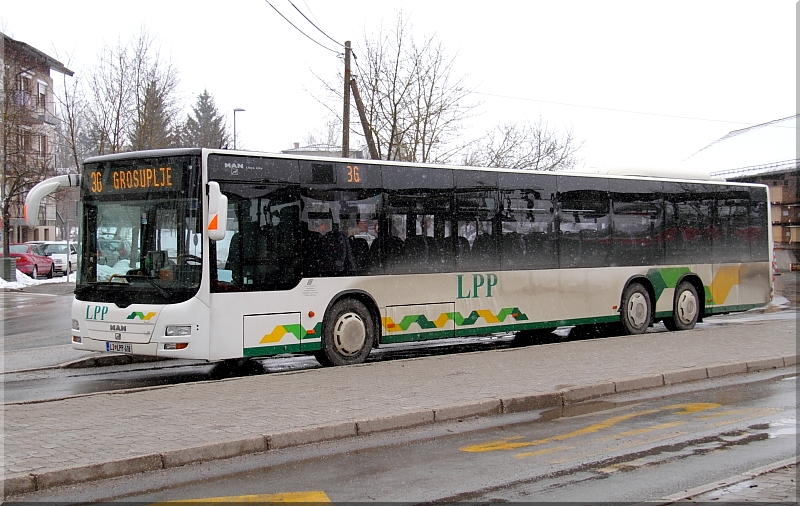 LPP - Ljubljana,slike autobusa - Page 2 Img1273