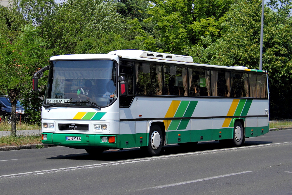 LPP - Ljubljana,slike autobusa - Page 3 Img9119