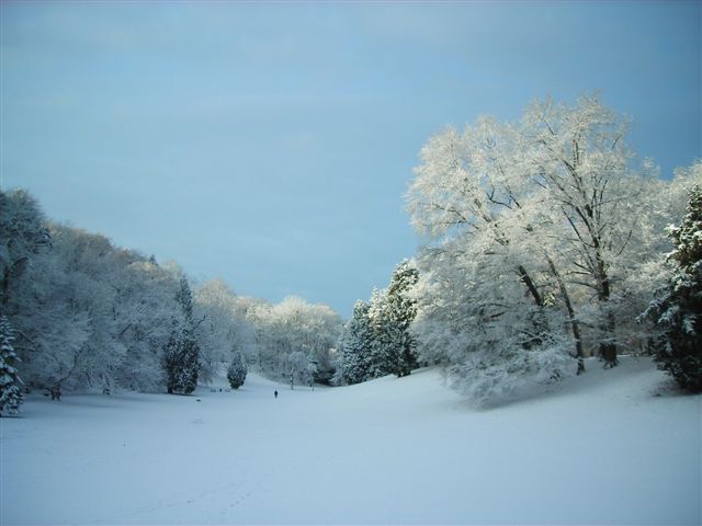 concours photos n5  fvrier 2012 : thme HIVER 051dm3