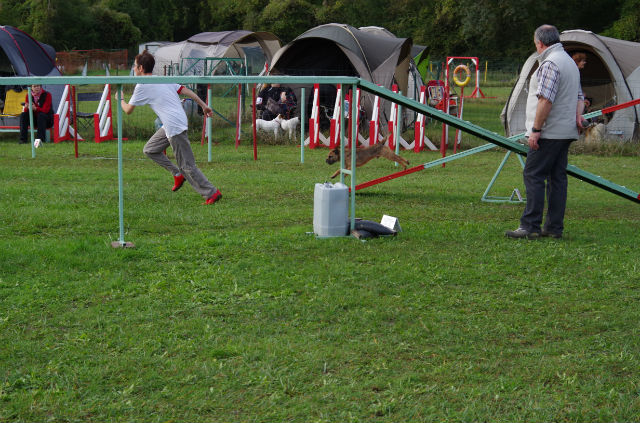 Nouvelle saison Agility 2012 - Page 10 23nkki