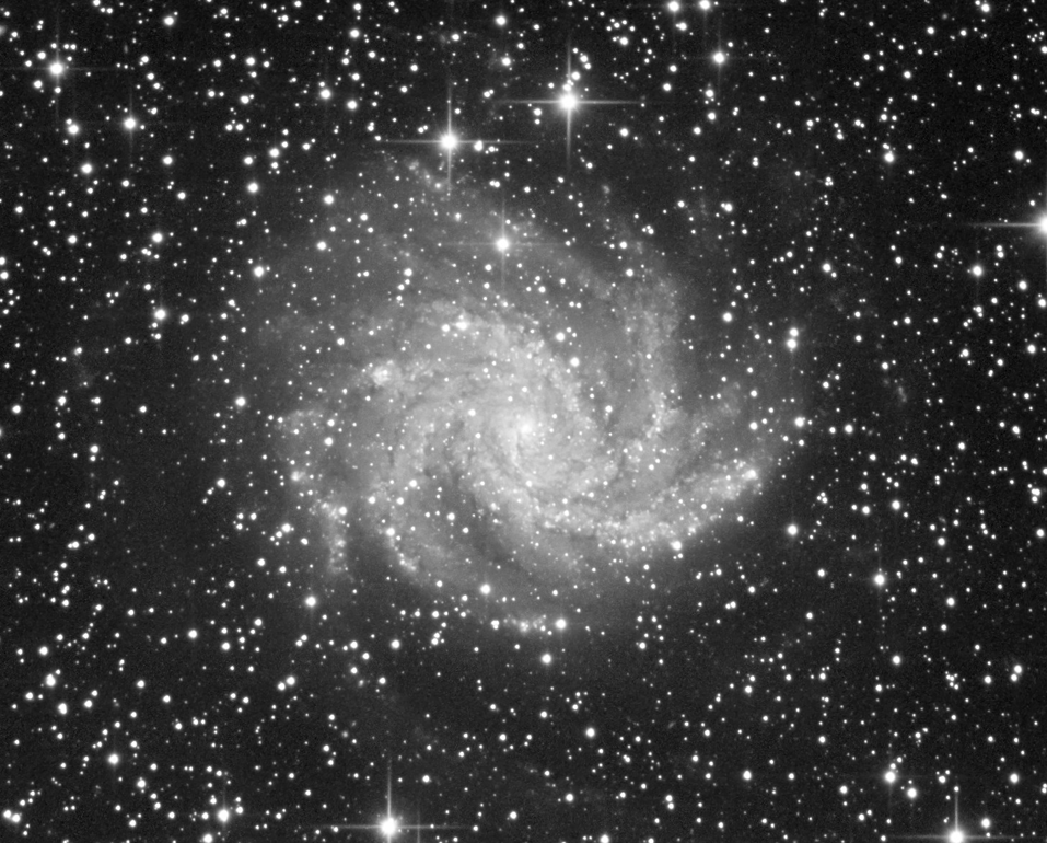 NGC6946 NGC6946_starnet
