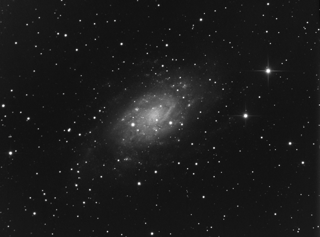 La grande Galaxie de Camelopardalis Ngc2403_gerard_sieg