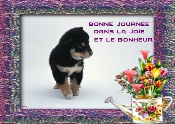 Ƹ̵̡Ӝ̵̨̄Ʒ ♥ Bonjour...Bonsoir...Quoi de neuf??? ♥ Ƹ̵̡Ӝ̵̨̄Ʒ . - Page 40 E1780f4f