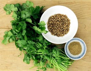 لا تقل لى ان الكزبرة نبات ودواء ايضا Coriander-300x233