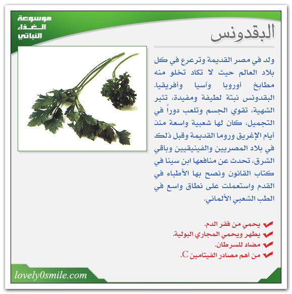 البقدونس ملك الخضروات‏  Fo-034