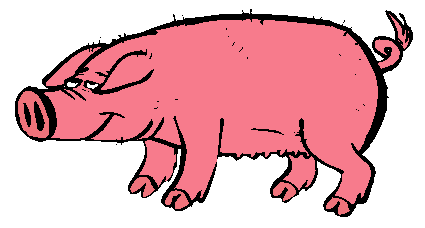 yashiro-jutsu PORC