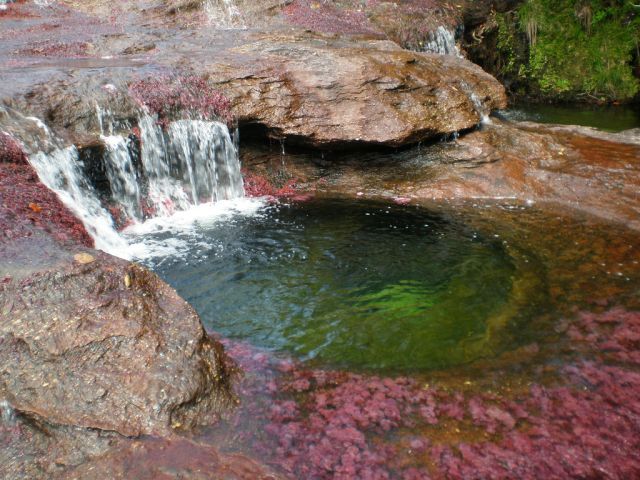 رنگین کمان رودخانه کلمبیا Rainbow%20river%2002