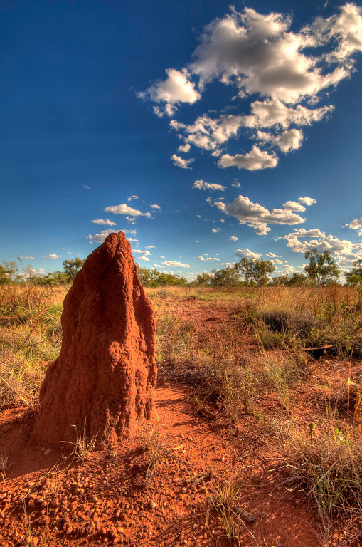 Australia November 2010 field herping FULL POST! Part 3 Landscapes 1118194901_MugCJ-XL