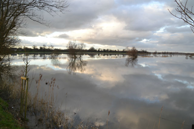 aperçus des marais du Cotentin Bply3z