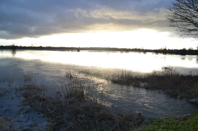 aperçus des marais du Cotentin Eifkq5