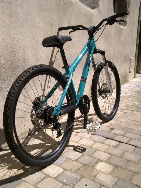  PETITES ANNONCES - vtt dirt Commençal Absolut "CG" Ihmqs1