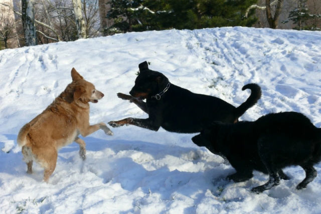 les filles en ballade Tduimi