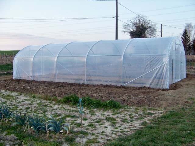 Cette semaine au jardin Ruj7gx