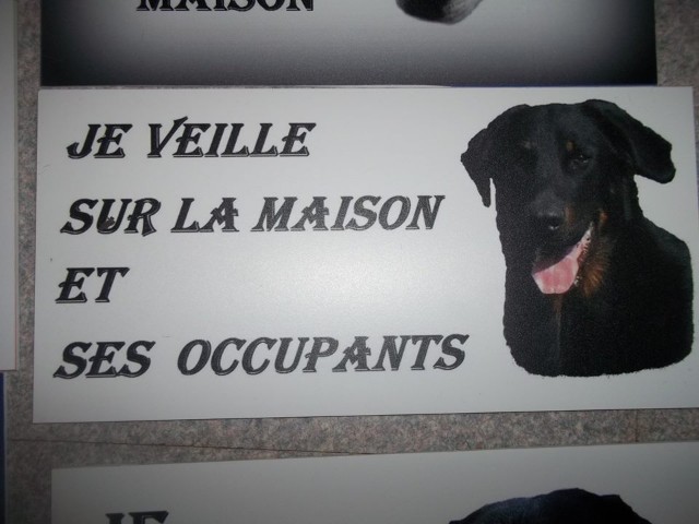 plaques chiens  Ezmtby