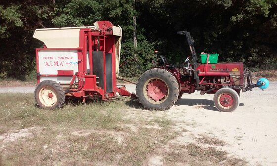 Machine à vendanger ALMA TS de 1988 8dkqvf