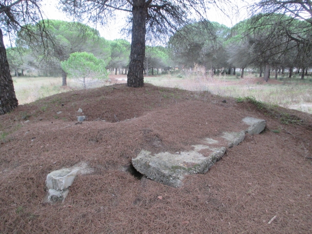 Wn Passe des Abimes ( Grande Motte 34 / Grau du Roi 30 ) Orjewr