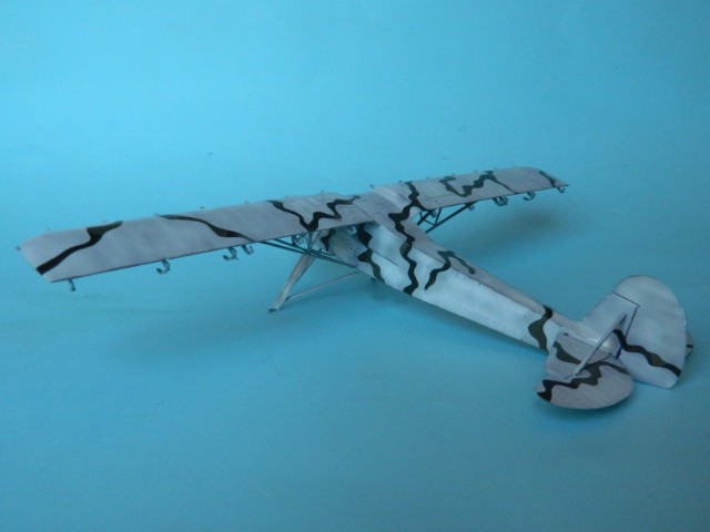 Fieseler Fi-156. Tamiya 1/48. Fertig. 02xhb3