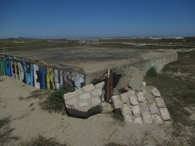 torreilles - Torreilles Plage (66) 3qbzzt