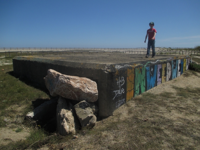 torreilles - Torreilles Plage (66) 5leknf