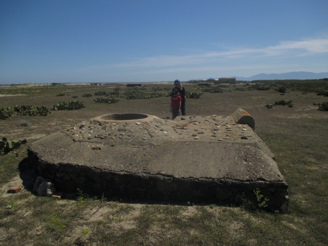 torreilles - Torreilles Plage (66) 69eiu5