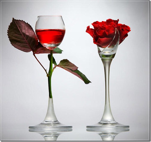 Čaše,  i bokali Glass-photography-19_thumb