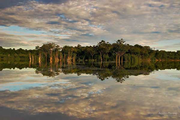 Amazonska prašuma AmazonRainforest-3
