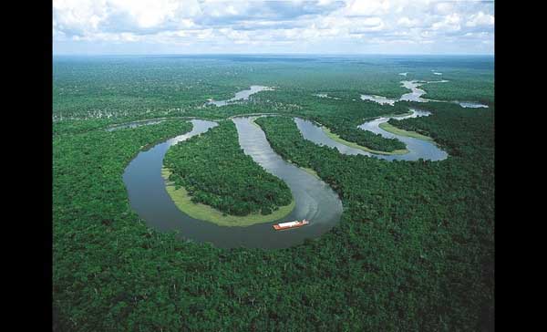 Amazonska prašuma AmazonRainforest-33