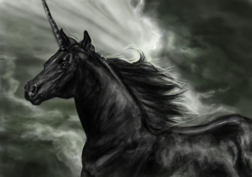 10 Perbindeshit kontradiktor ne bibel 1.friesian_unicorn_by_howlinghorse