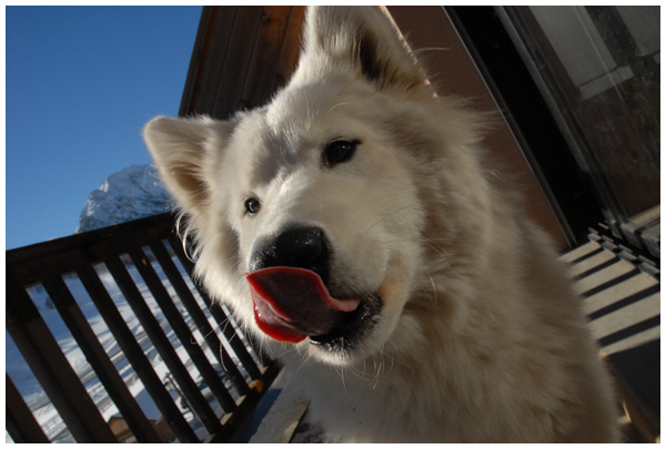 Ca y est ! Elle a vu la neige !!! 1