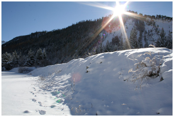 Ca y est ! Elle a vu la neige !!! 10