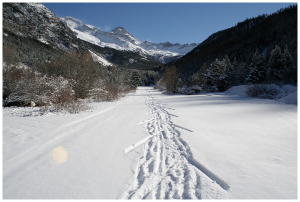 Ca y est ! Elle a vu la neige !!! 11