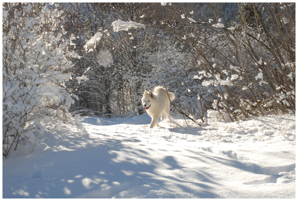 Ca y est ! Elle a vu la neige !!! 4