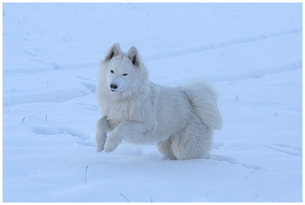 Ca y est ! Elle a vu la neige !!! 5